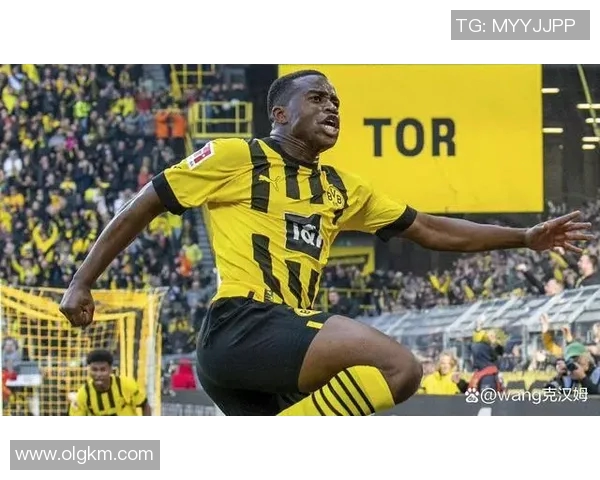 德甲第4轮：多支劲旅爆冷输球，拜仁慕尼黑保持不败领跑