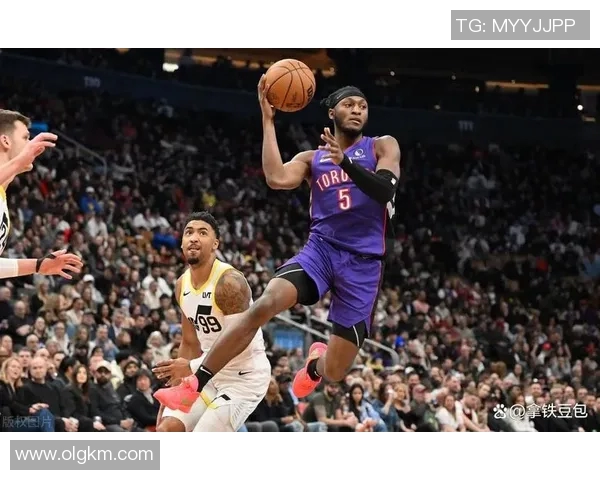 猛龙逆转灰熊，锁定季后赛资格——缔造奇迹之夜